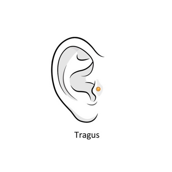 Tragus