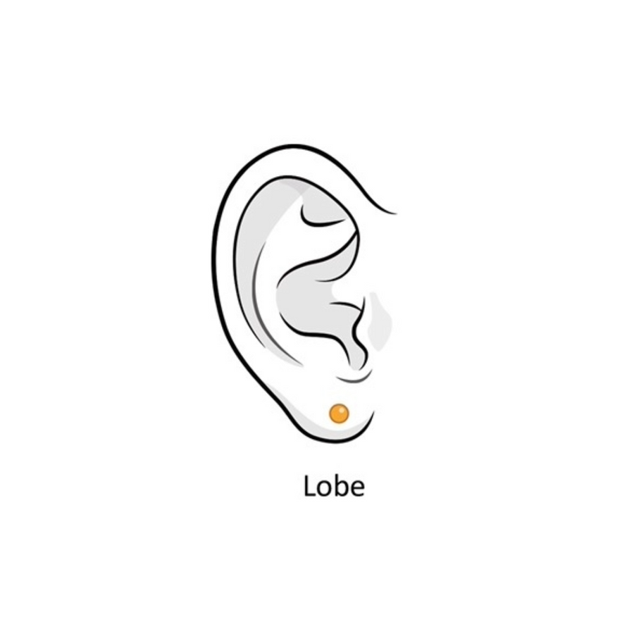 Regular Lobe