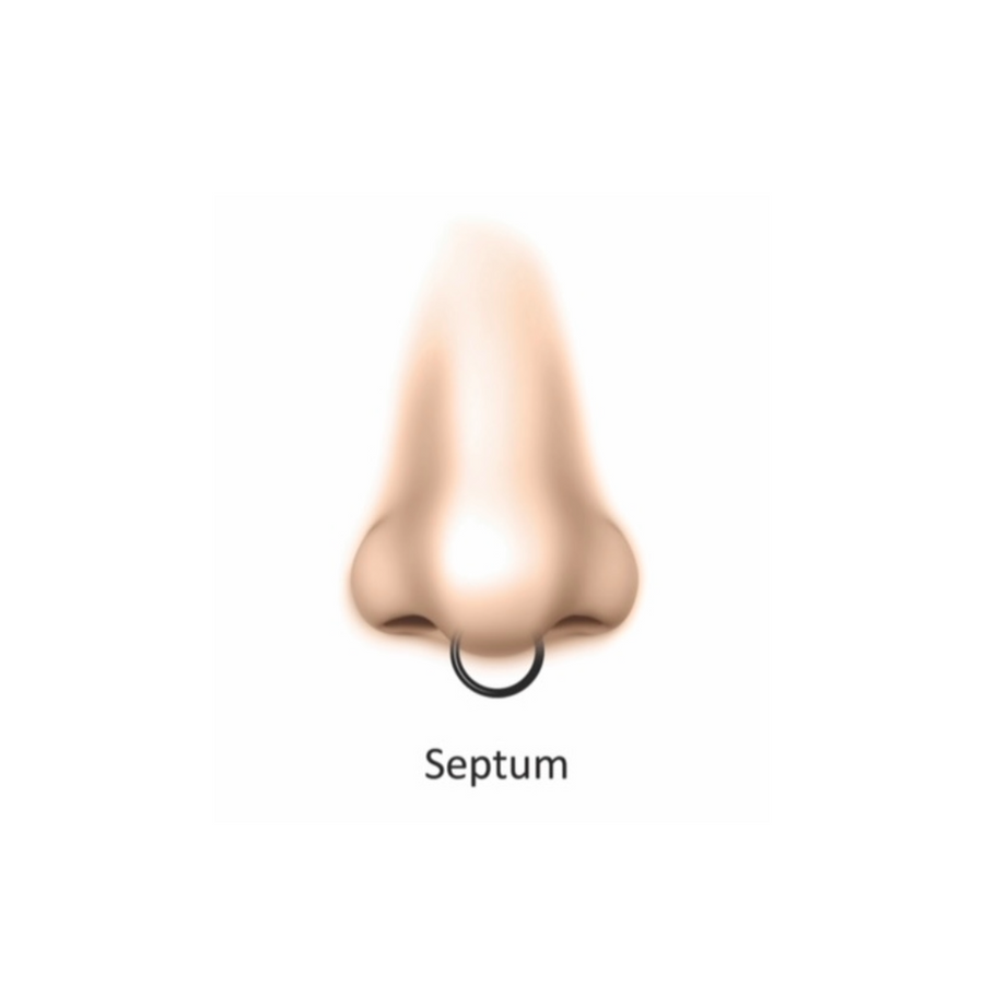 Septum