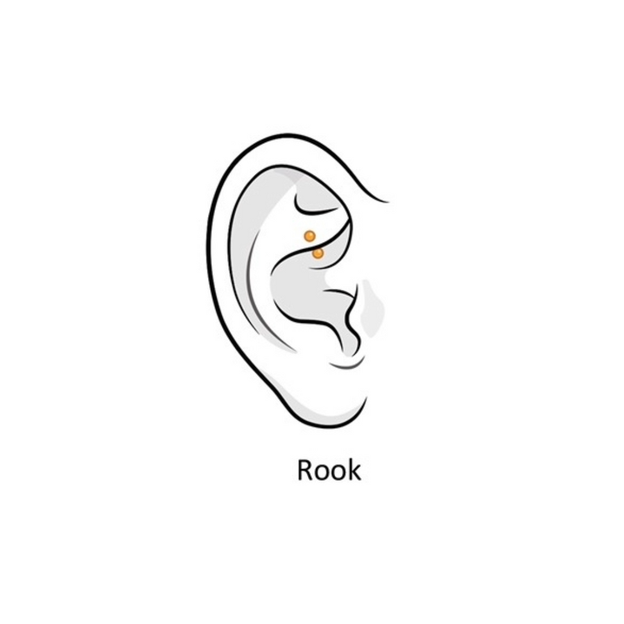 Rook
