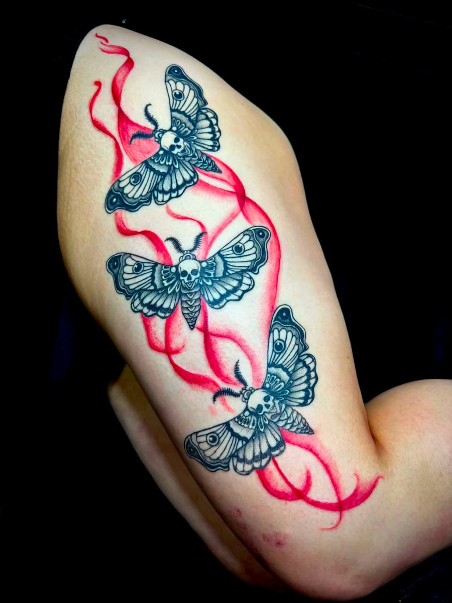 Red Smoke Moths
