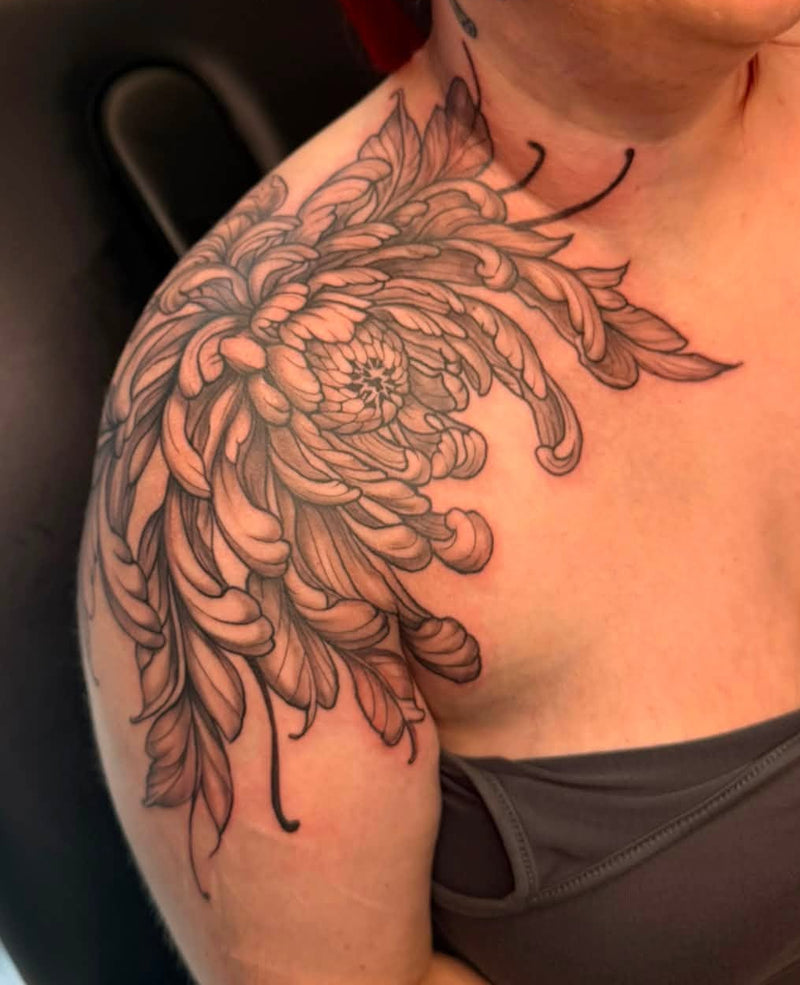 Chrysanthemum