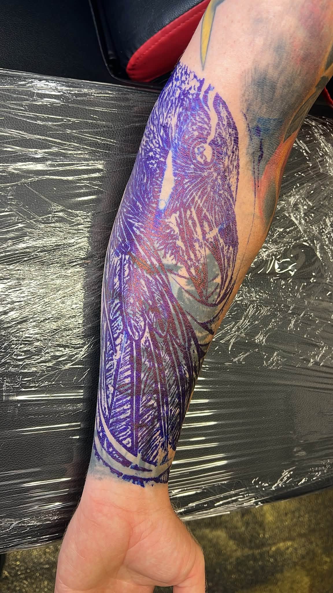 Raven Cover Up