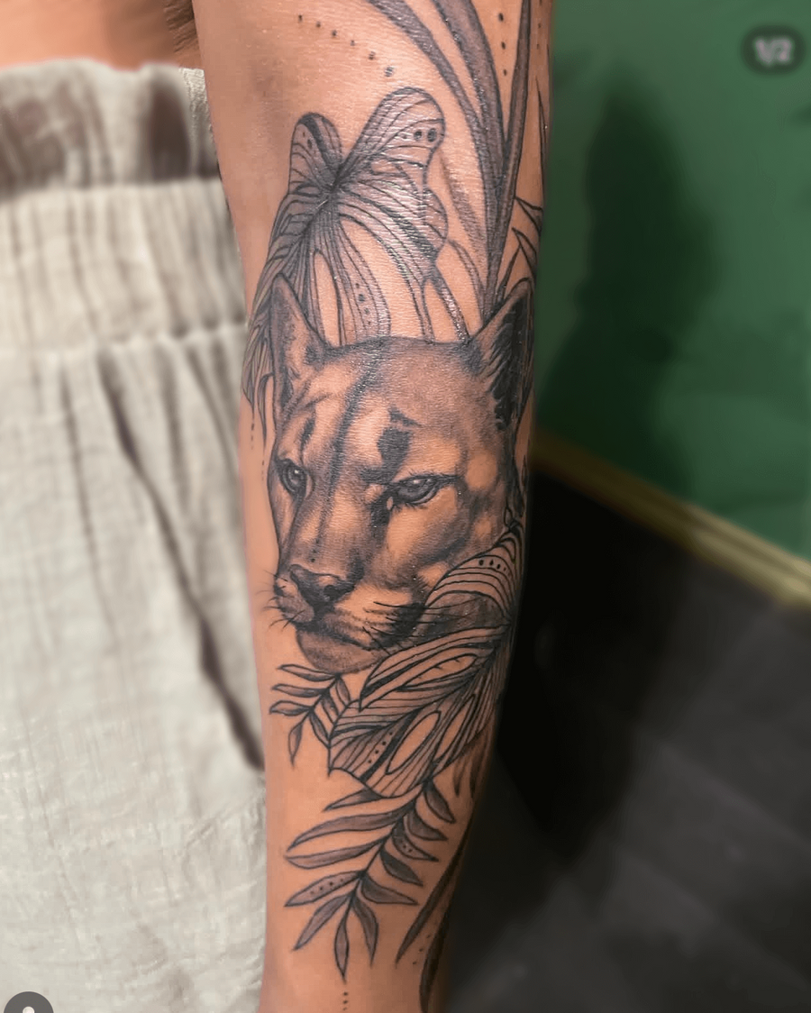 Cougar and Palms Illustration