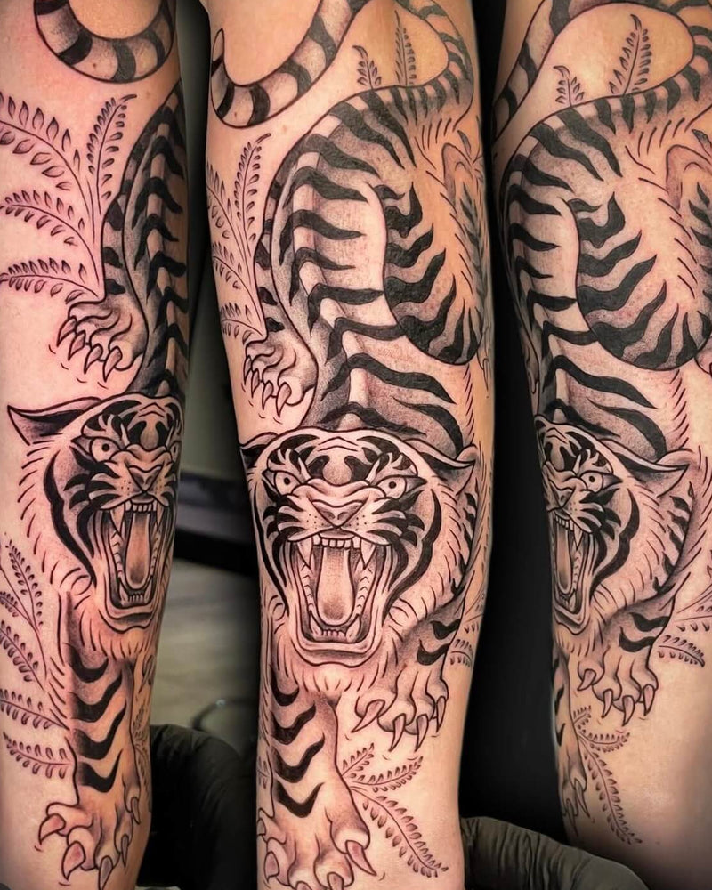 Oriental Tiger
