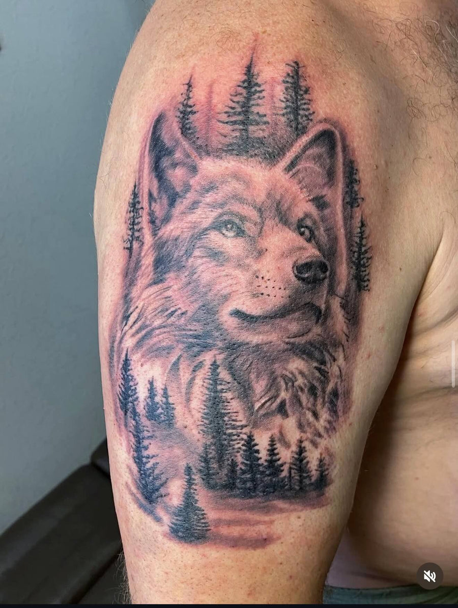 Wolf and Forest Wilderness Scene