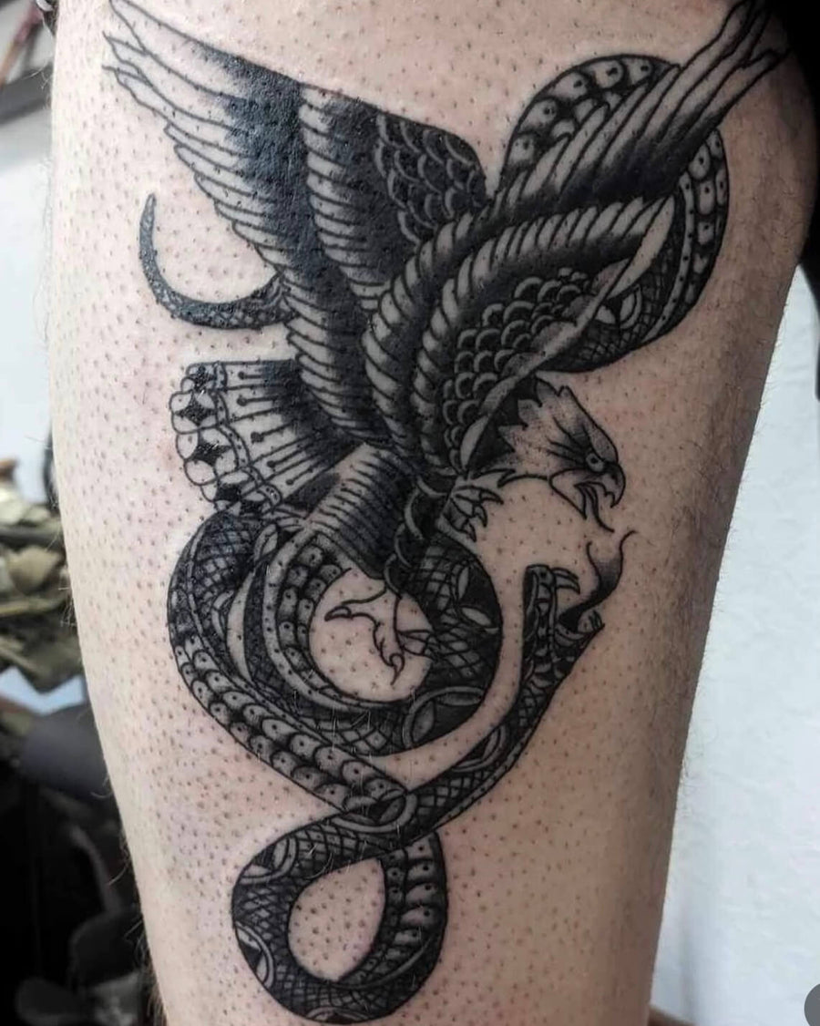Eagle and Serpent Battle