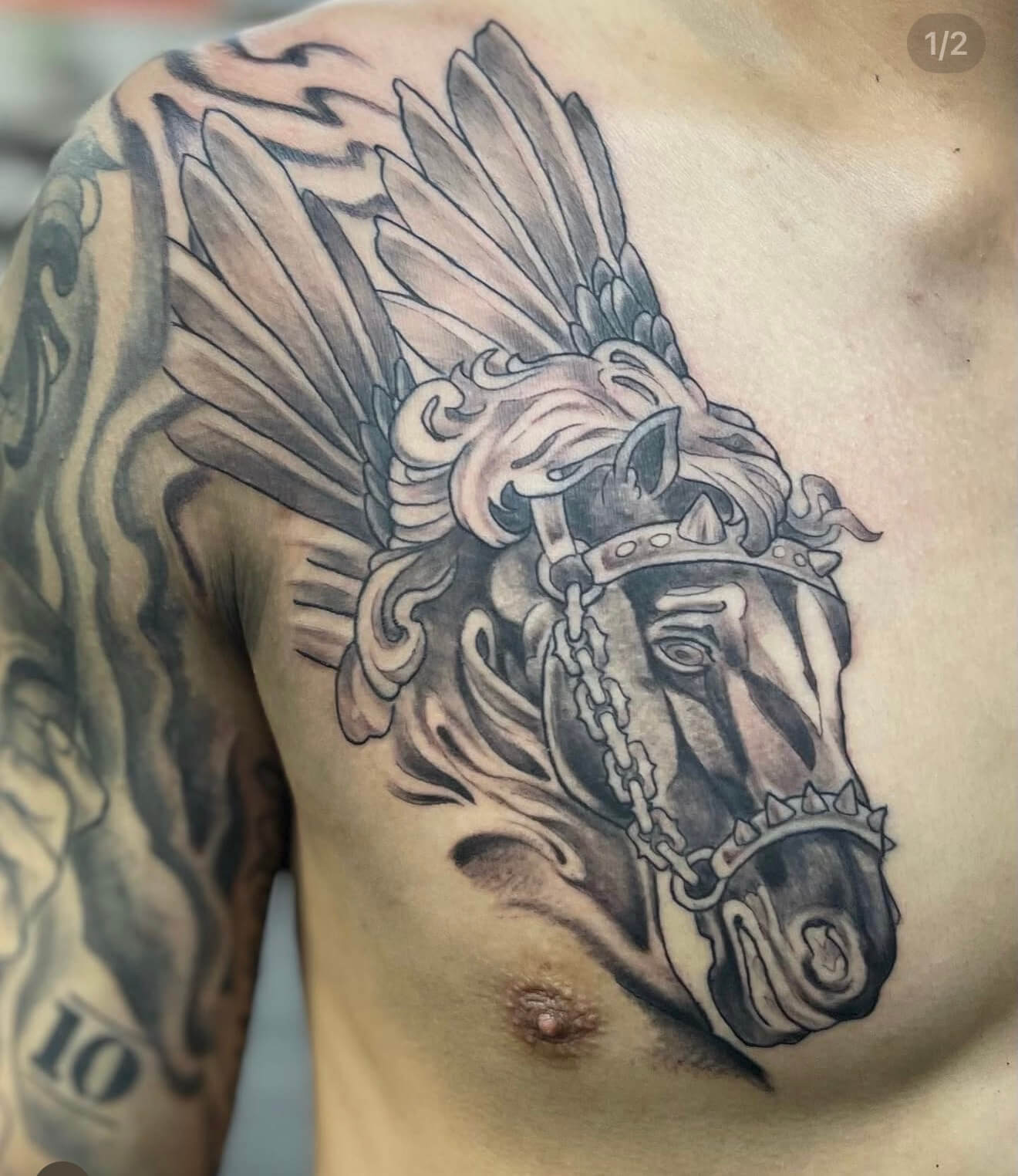 War-Torn Wings