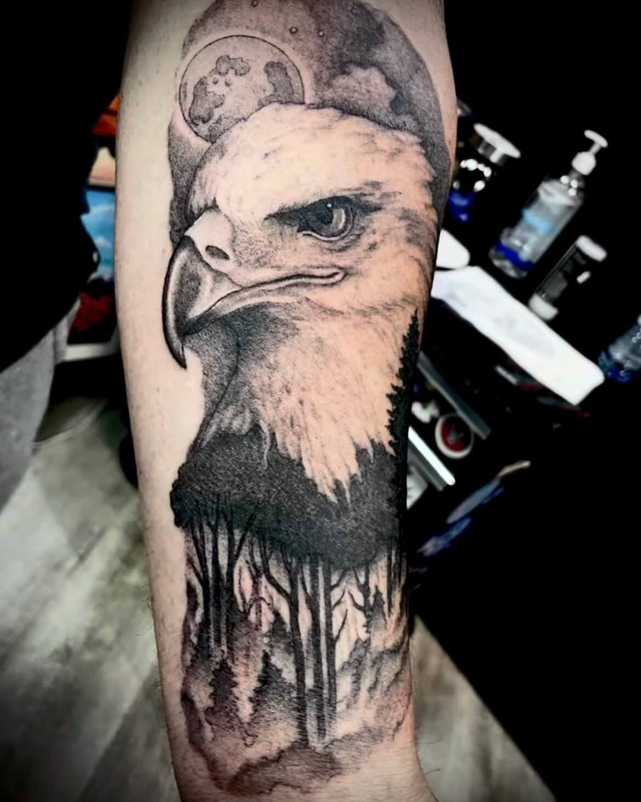 Eagle and Forest