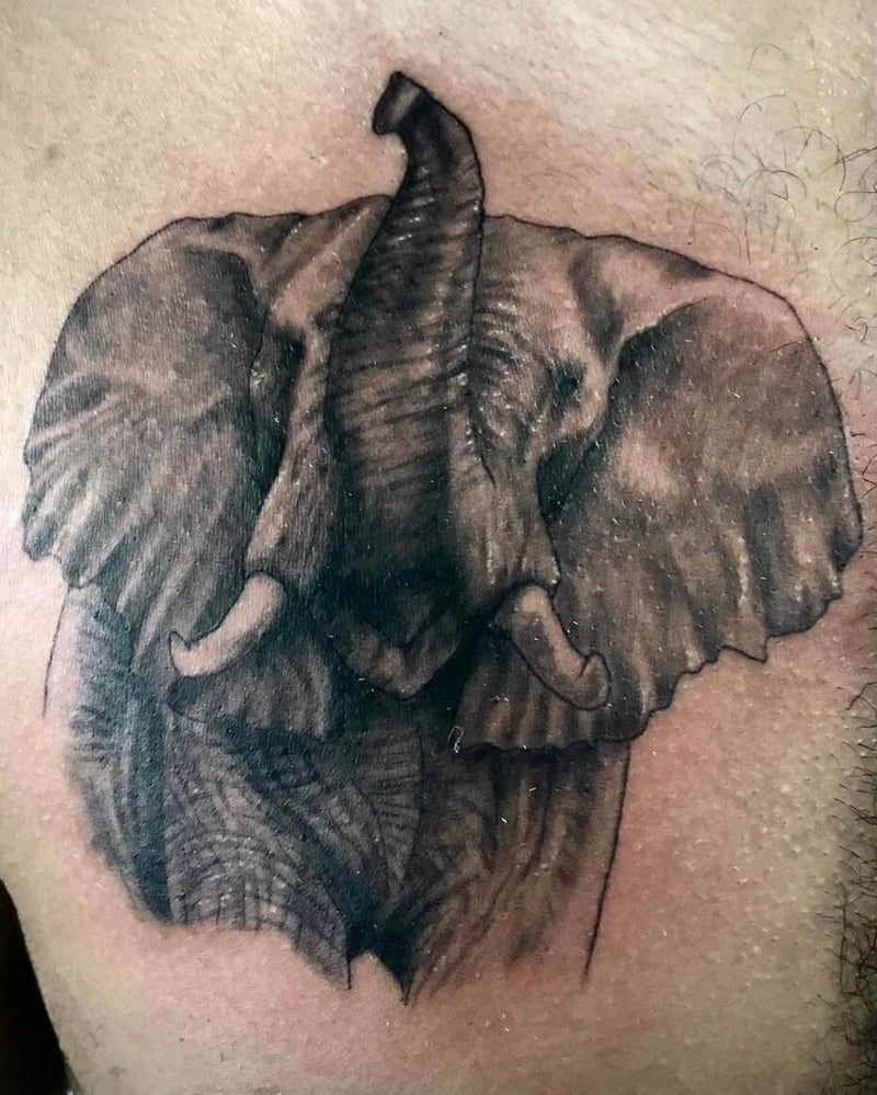 Elephant Chest Piece