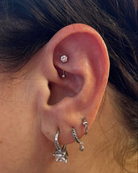 Rook