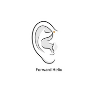 Forward Helix