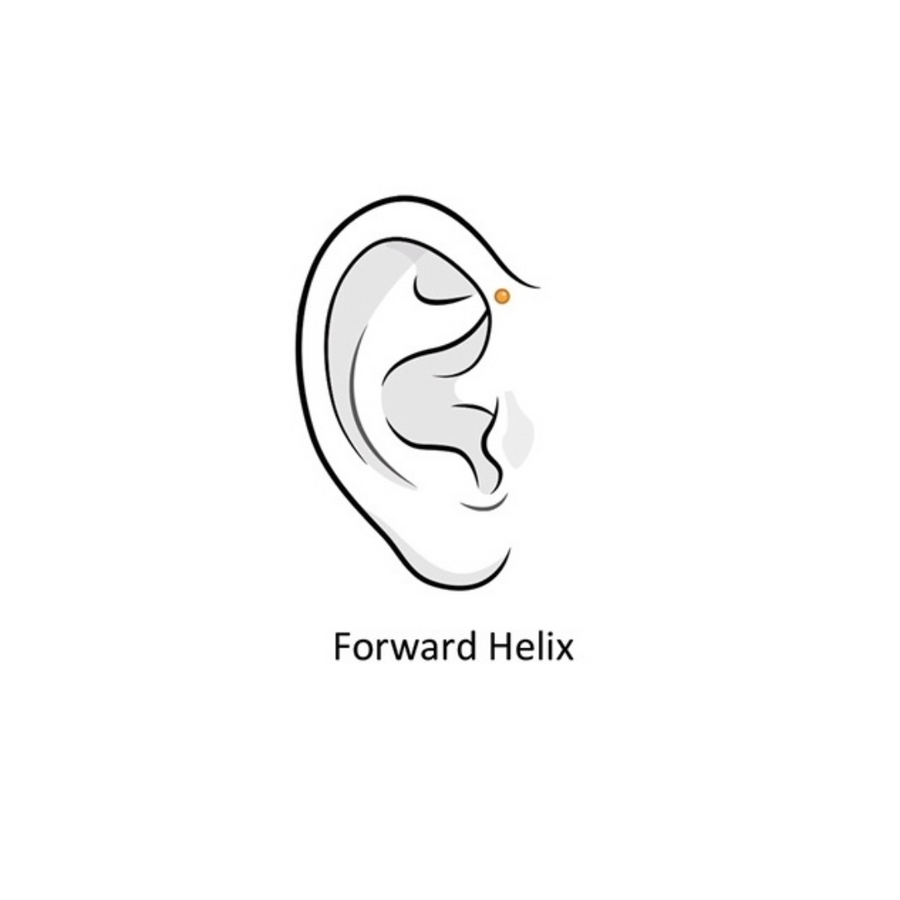 Forward Helix