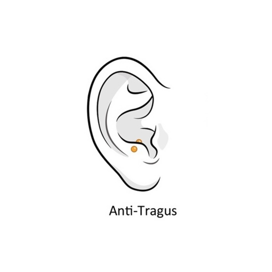 Anti-Tragus
