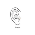 Tragus