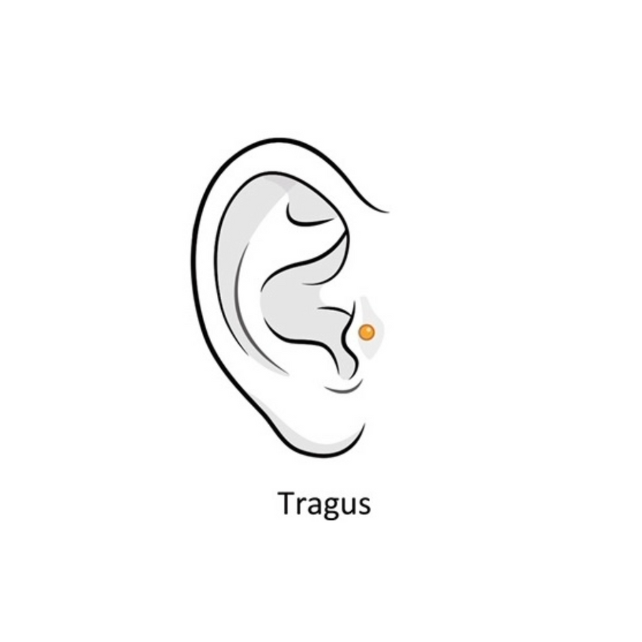 Tragus