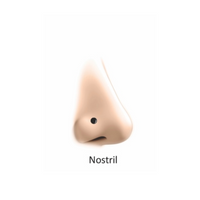 Nostril
