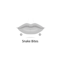 Snake Bites