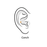 Conch