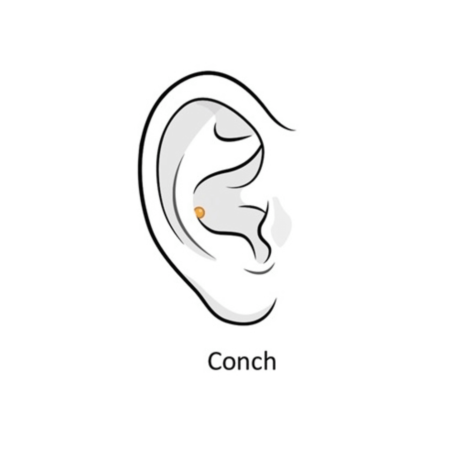 Conch