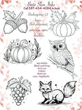 Collection of black and white illustrations including acorns, pumpkins, an owl, and a fox on a decorative background.